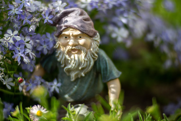 gnome