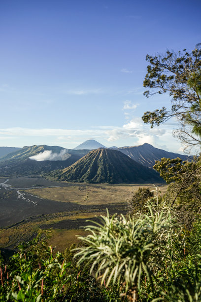 bromo