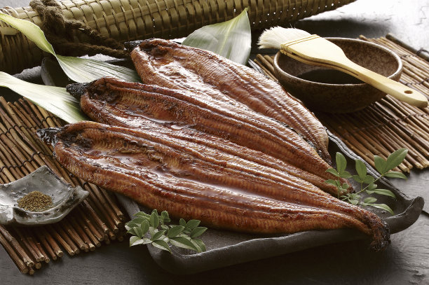 eel