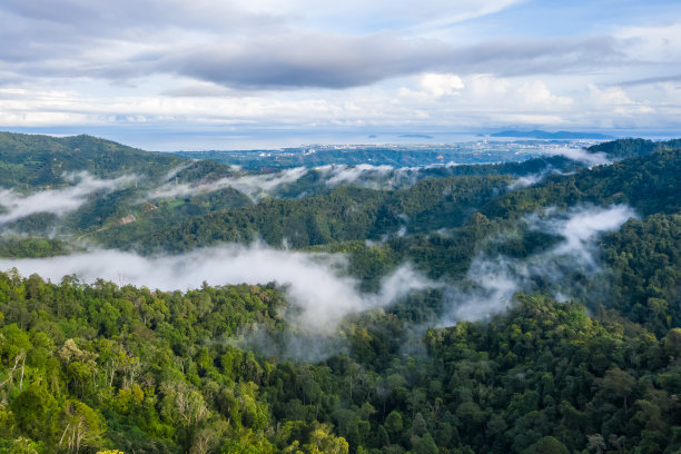 borneo