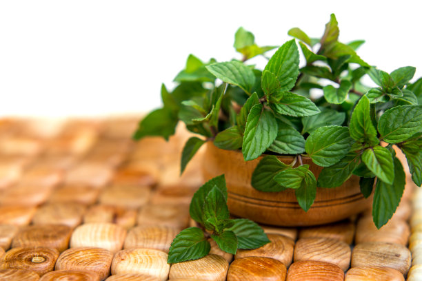 peppermint