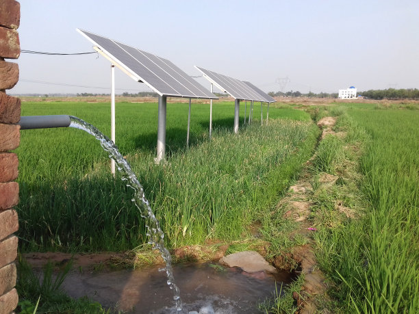 irrigation