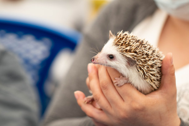 spiked