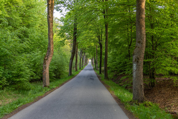 avenue
