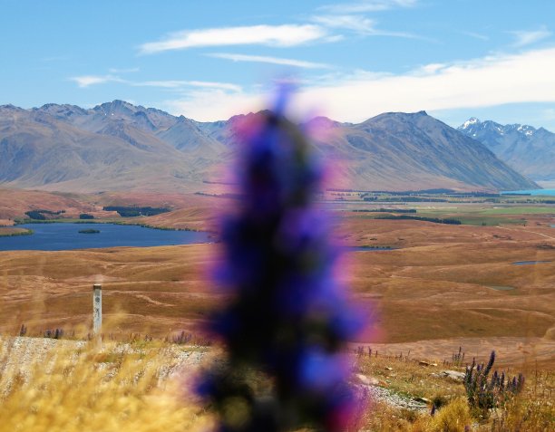 tekapo