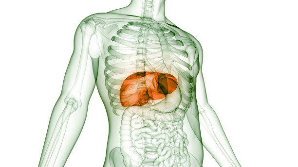 什么是病毒性肝炎