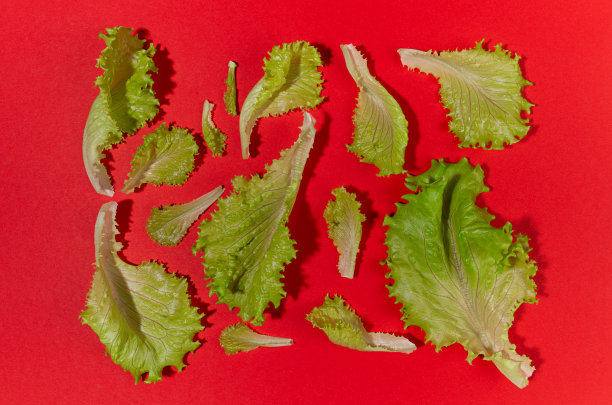 彩色多彩缤纷新鲜蔬菜海报