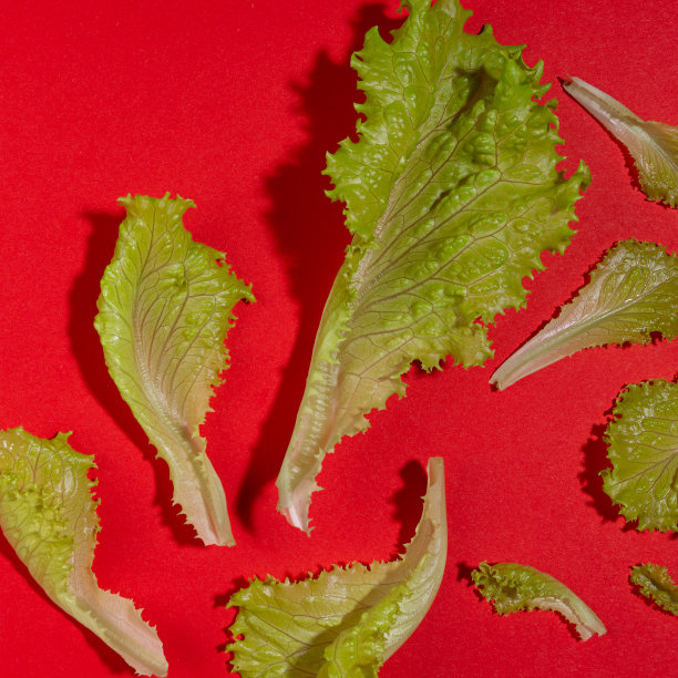 彩色多彩缤纷新鲜蔬菜海报