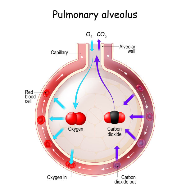 oxygen