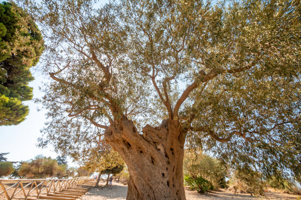 agrigento