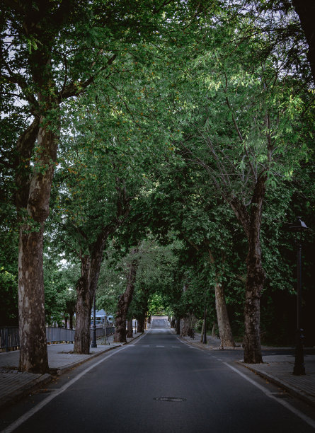 avenue