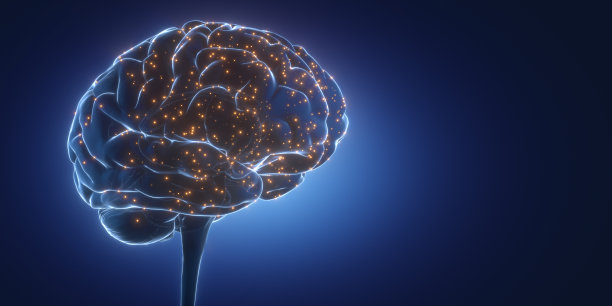 eeg