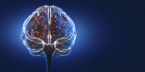 eeg