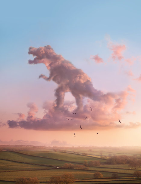 imagination