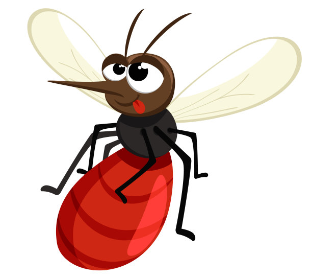 mosquito