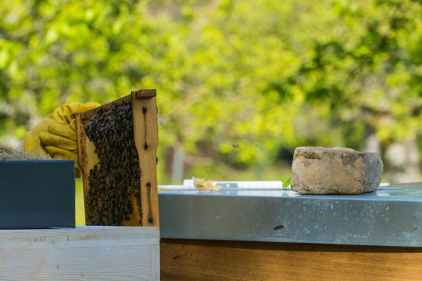 beekeeper