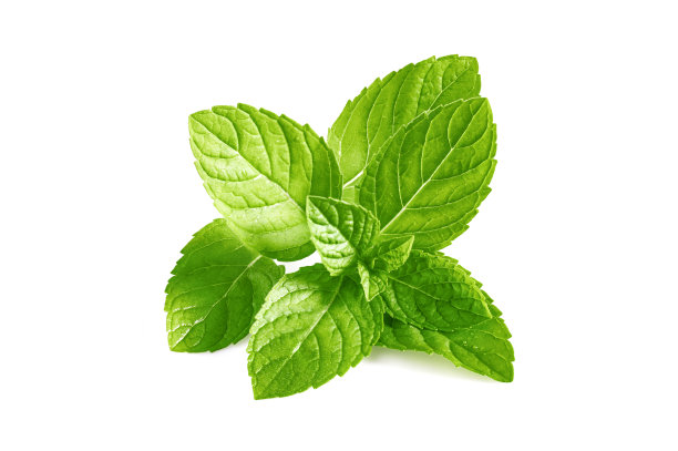 spearmint