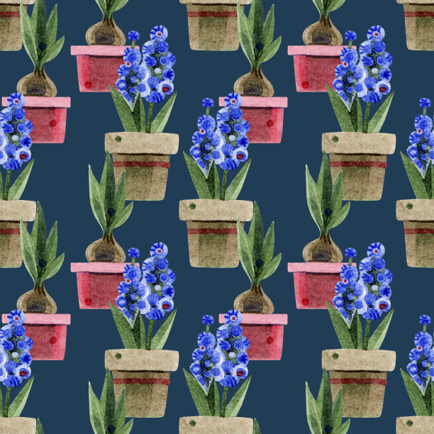 盆栽郁金香插画素材