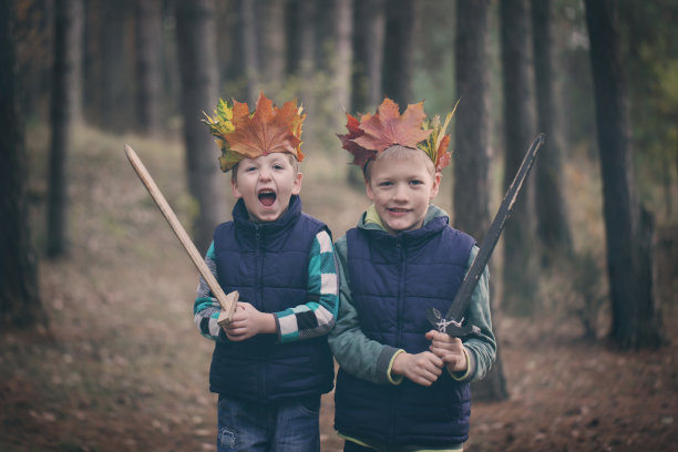 sword