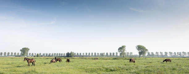 nijmegen