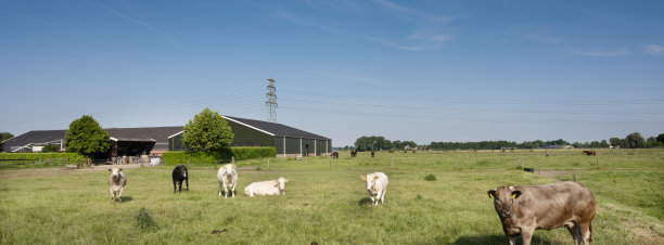 nijmegen