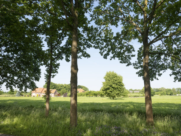 nijmegen