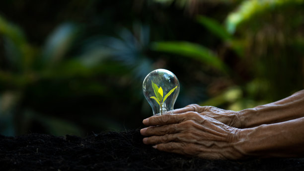 技术负责人职责