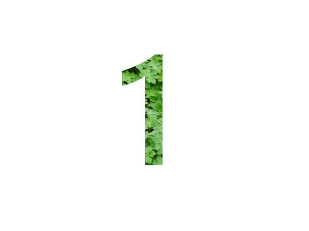 no1logo