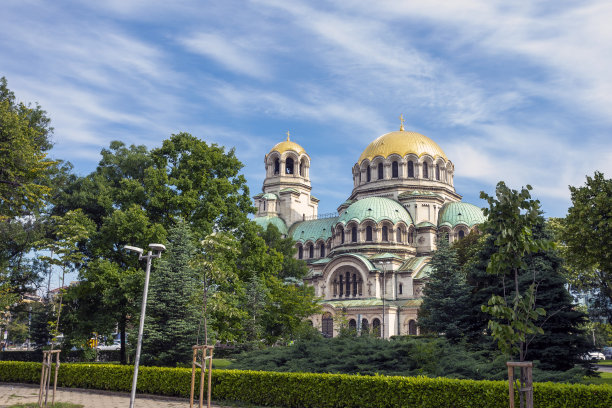 sophia