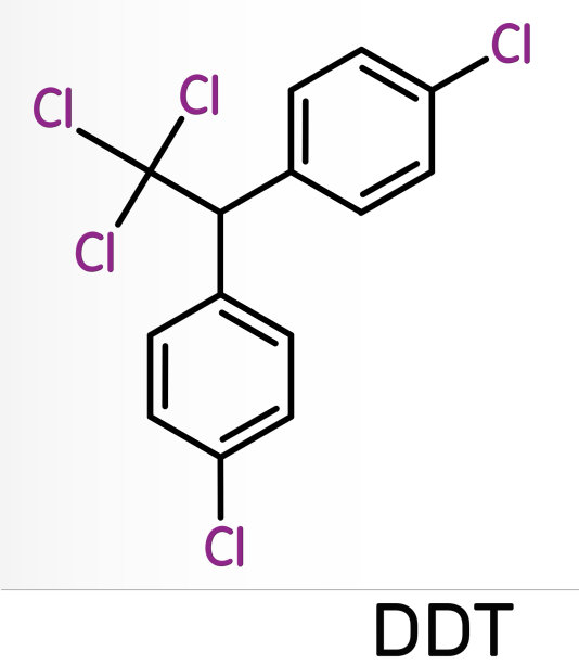 ddt