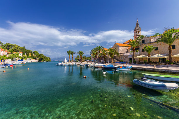 brac
