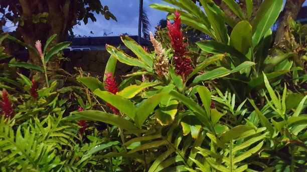 kauai