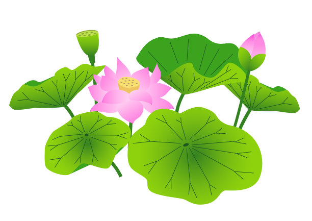 盂兰盆节,清新,背景分离