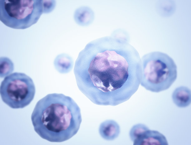 cells