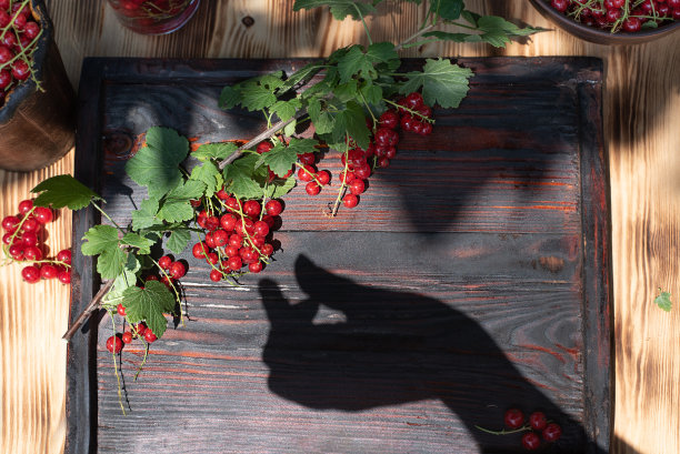 redcurrant