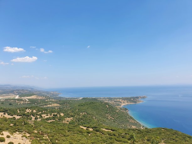 assos