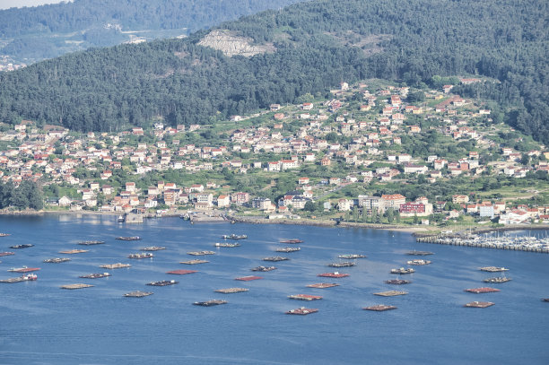 vigo