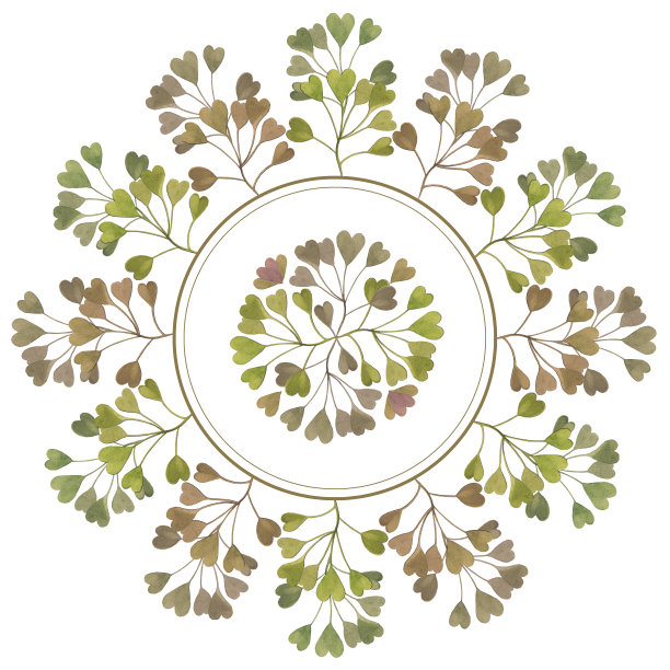 绿色精美圆形花纹图案