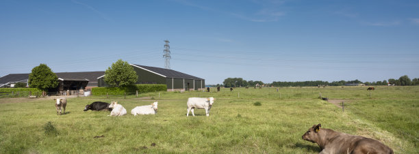 nijmegen