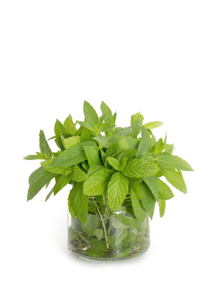 spearmint