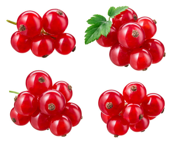 redcurrant