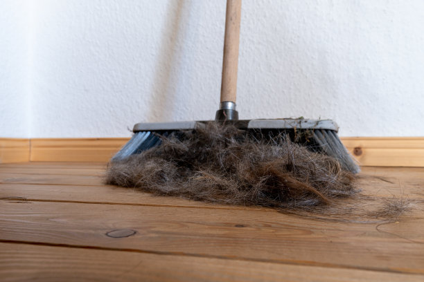 broom