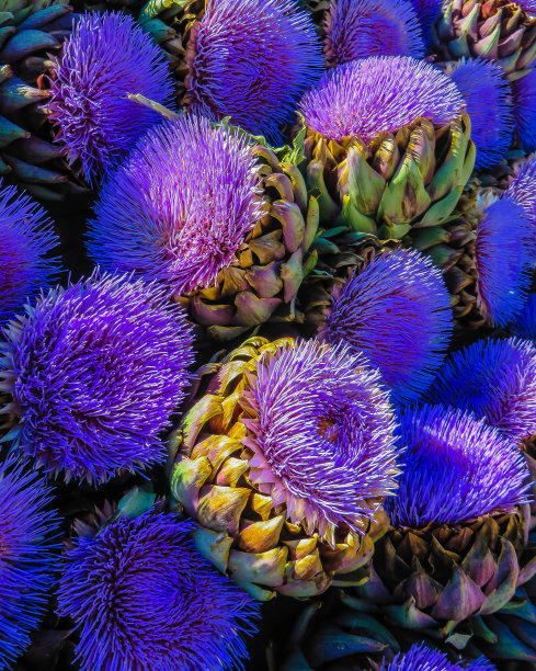 artichoke