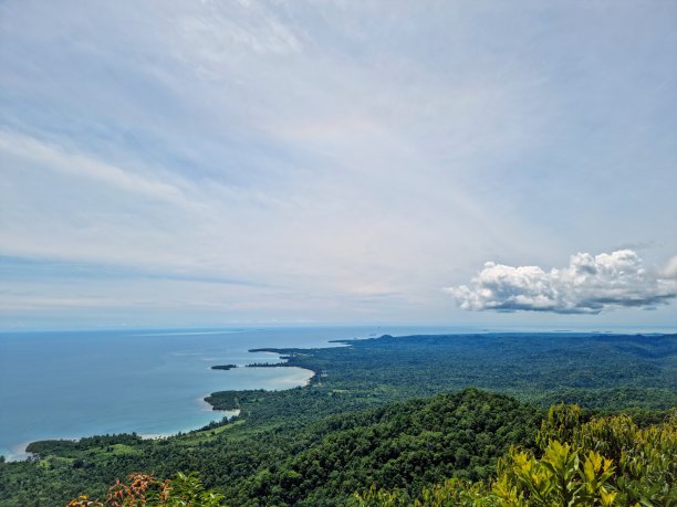 borneo