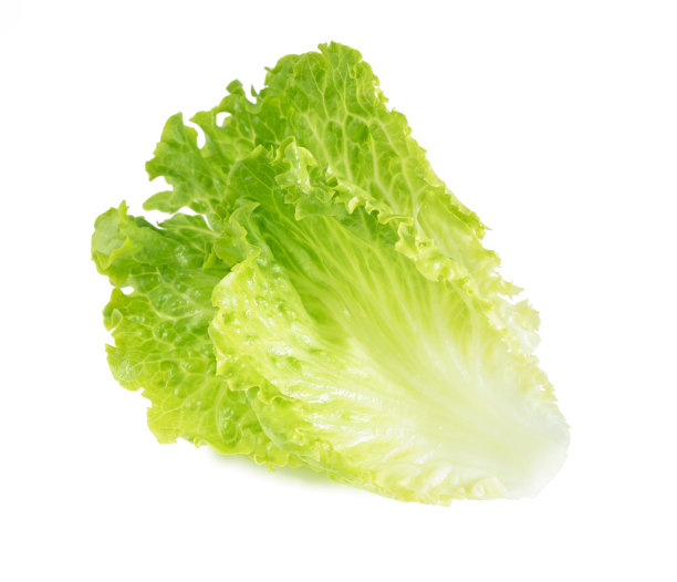 romaine