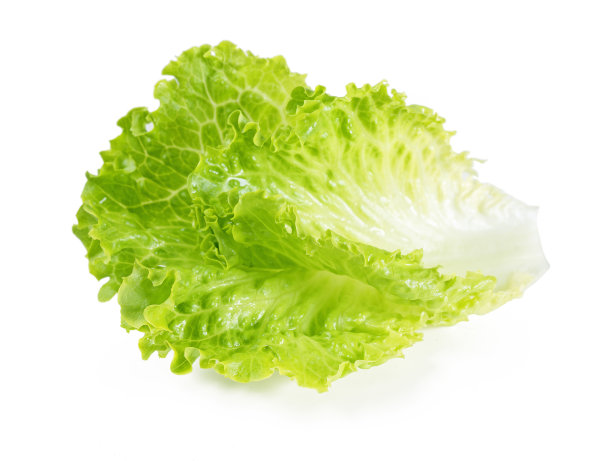 romaine