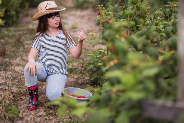 摘葡萄的少女