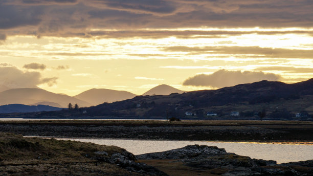 donan