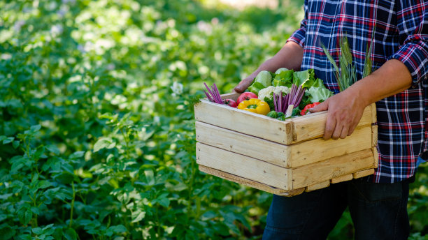 菜市场服务标语
