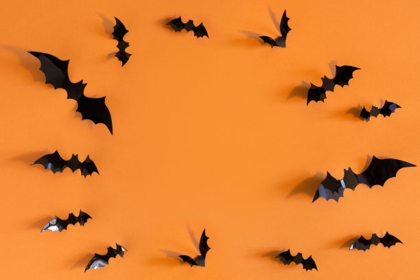 bat